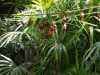 IMG-20190711-WA0006