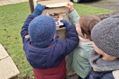 distribution-des-cartes_2